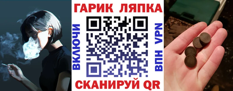 Купить закладки  Малгобек  Гашиш Premium 