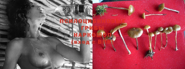 кокаин Гвардейск